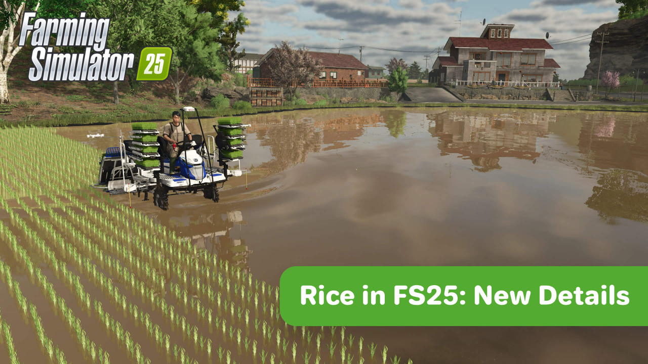 Reis in FS25: Neue Details